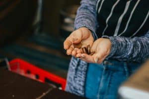 The Rise of Recommerce: Buying and Selling Pre-Owned Items