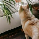 How to Maximize Loyalty Programs and Membership Benefits