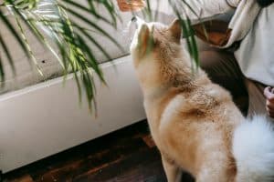 How to Maximize Loyalty Programs and Membership Benefits