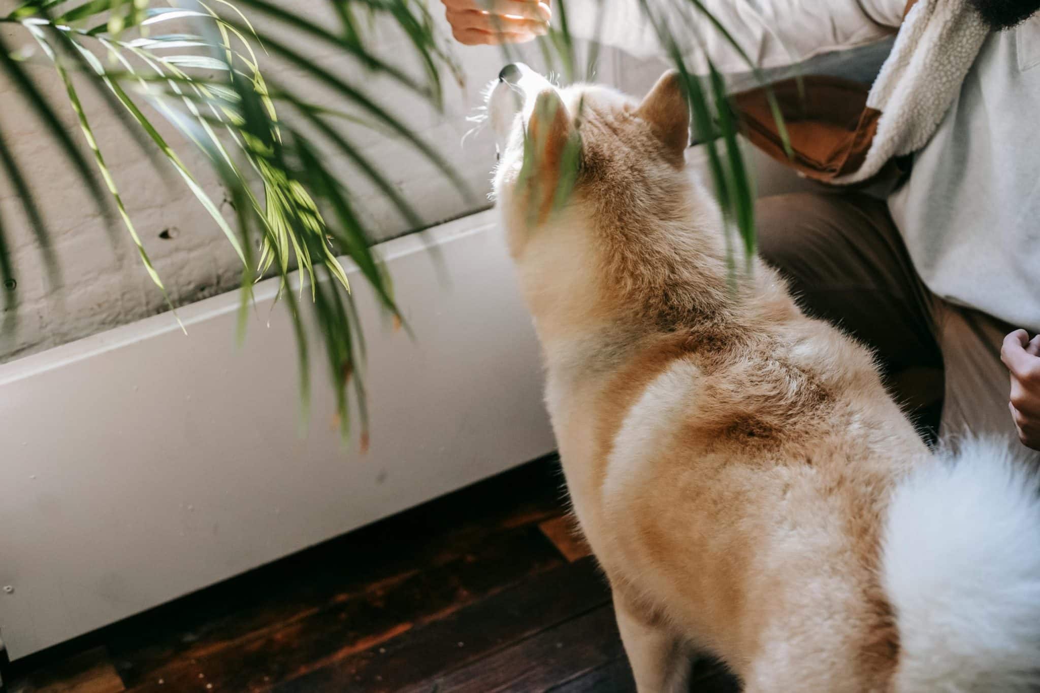 How to Maximize Loyalty Programs and Membership Benefits