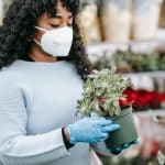 These Cars Earned IIHS Top Safety Pick Awards in 2025