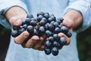 How to Reduce Food Waste and Make Your Ingredients Last Longer