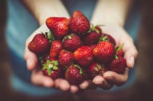The Slow Food Movement: Fighting Food Insecurity
