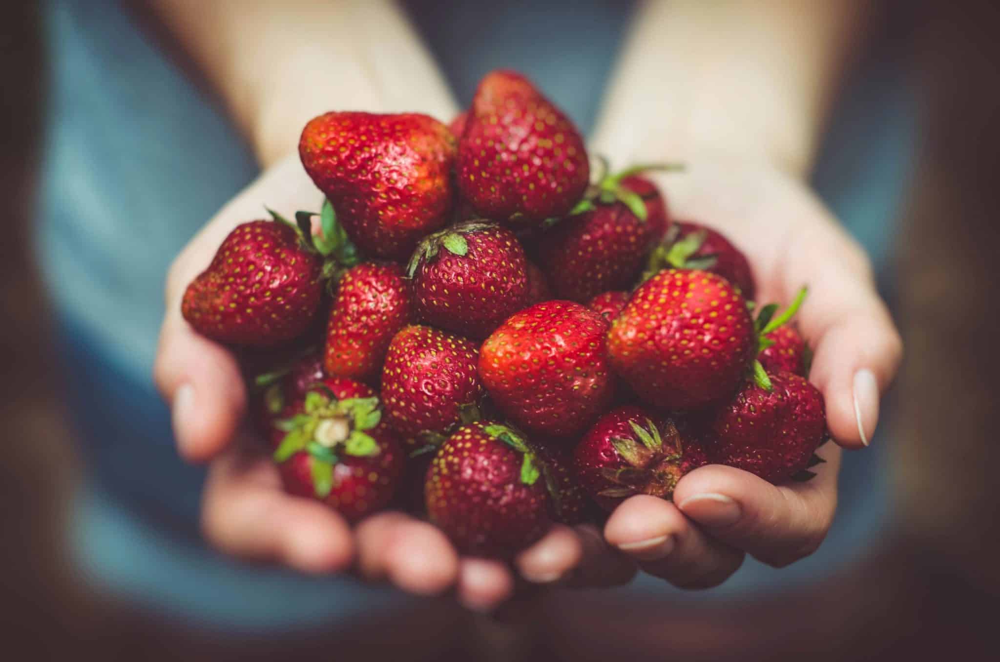 The Slow Food Movement: Fighting Food Insecurity