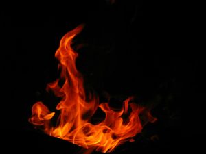 Wood-Fire Cooking: Bringing Smoky Flavors to Your Kitchen