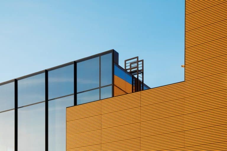 Iconic Chefs Who Revolutionized Modern Cuisine Forever