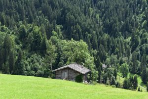 Remote Monitoring: Managing Your Appliances from Anywhere
