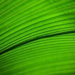 Sustainable Real Estate Practices: Green Building and Energy Efficiency