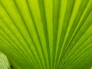 Green Cleaning Cycles: Eco-Friendly Features in New Washers