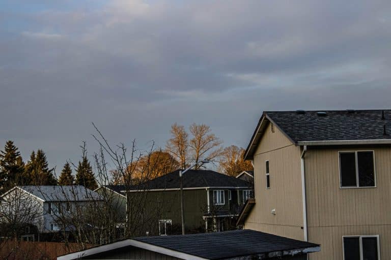 Navigating Gentrification: Understanding Neighborhood Changes