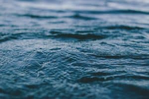 Water-Saving Technologies in Next-Generation Dishwashers
